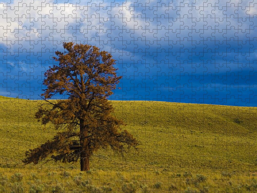 Individuality Jigsaw Puzzle featuring the photograph Individuality 2 by Monte Arnold