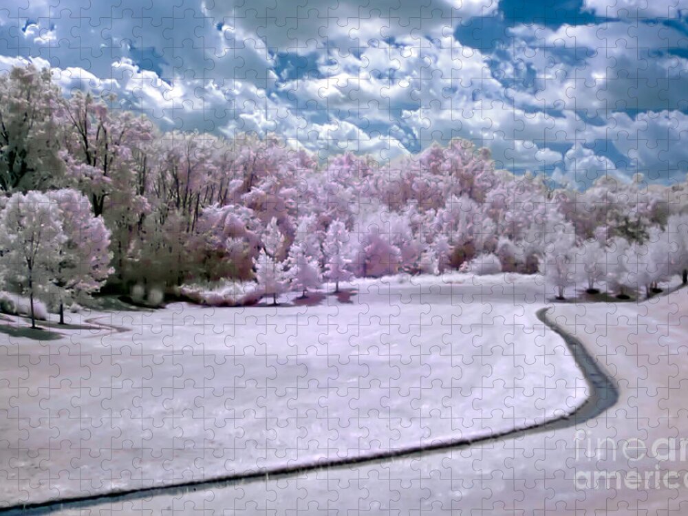 Infrared Jigsaw Puzzle featuring the photograph Infrared Meadow by Anthony Sacco