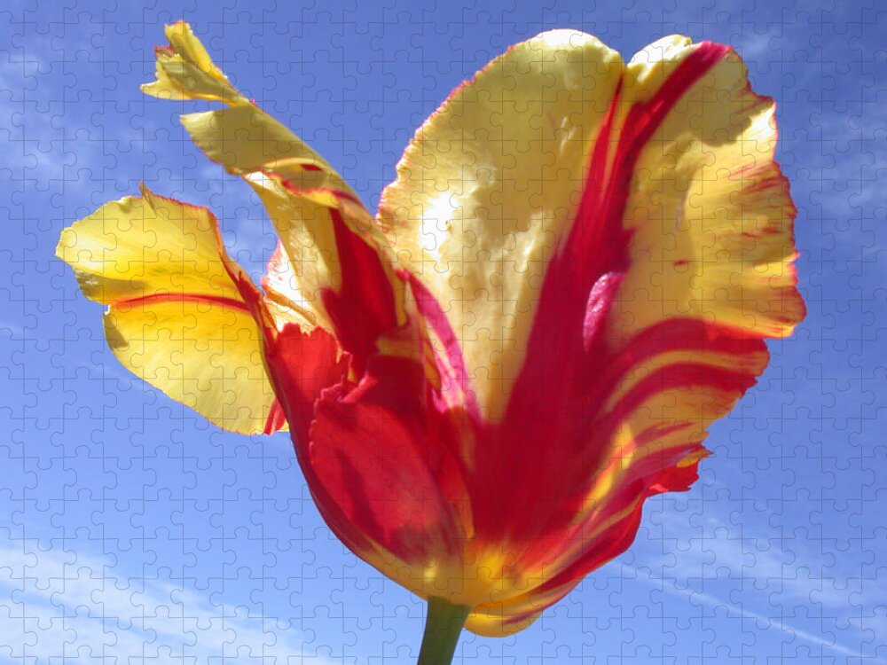 Tulip Jigsaw Puzzle featuring the photograph Into The Sky by Shane Bechler