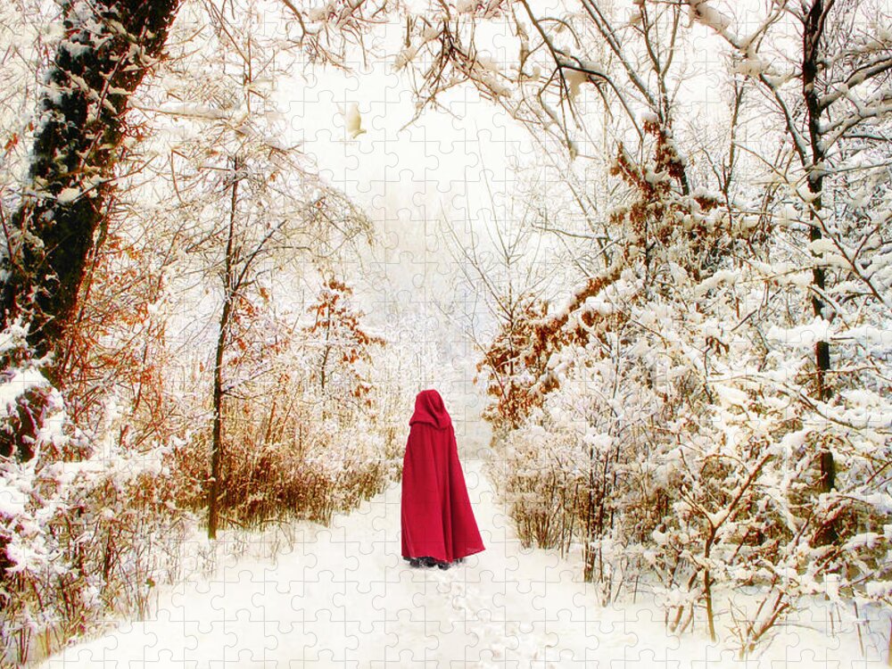 Winter Jigsaw Puzzle featuring the photograph Into the Woods by Jessica Jenney