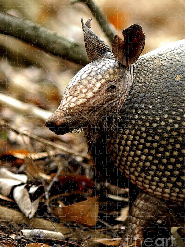 Iphone Jigsaw Puzzle featuring the photograph Nine Banded Armadillo by Robert Frederick