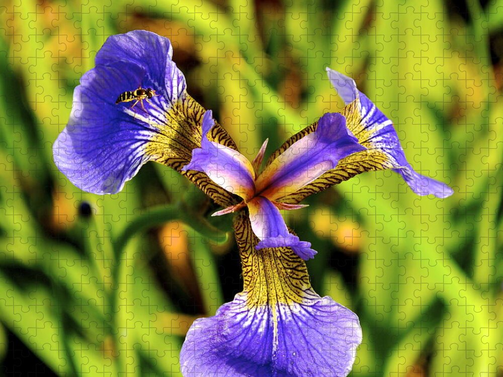 Iris Jigsaw Puzzle featuring the photograph Iris by Cathy Mahnke