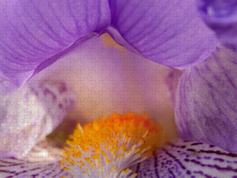 Flower Jigsaw Puzzle featuring the photograph Iris Detail by Robert Mitchell