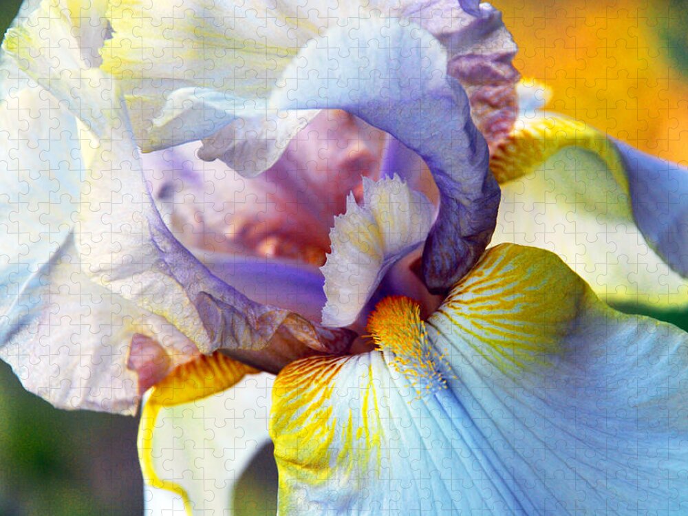 Iris Jigsaw Puzzle featuring the photograph Iris by Linda Segerson