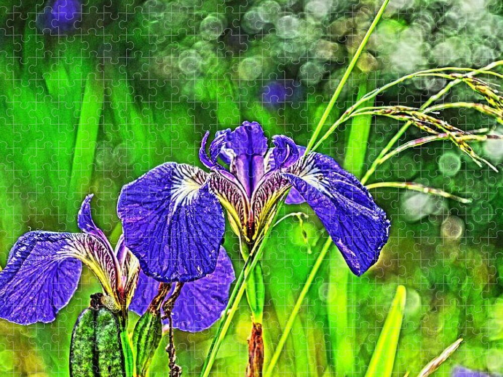 Iris Jigsaw Puzzle featuring the photograph Irises by Cathy Mahnke
