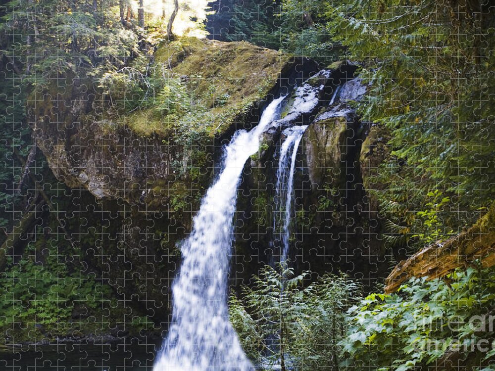 Trees Jigsaw Puzzle featuring the photograph Iron Creek Falls by Rich Collins