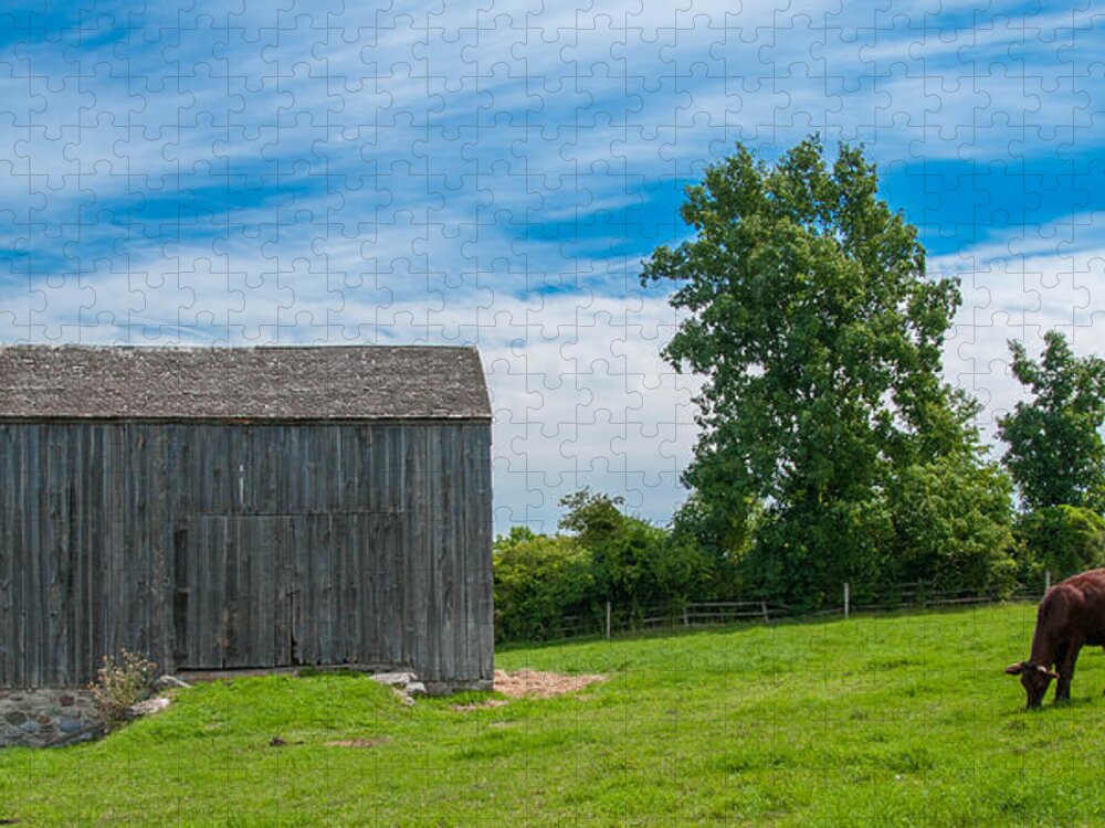 Barn Jigsaw Puzzle featuring the photograph Jones Farm 17811c by Guy Whiteley