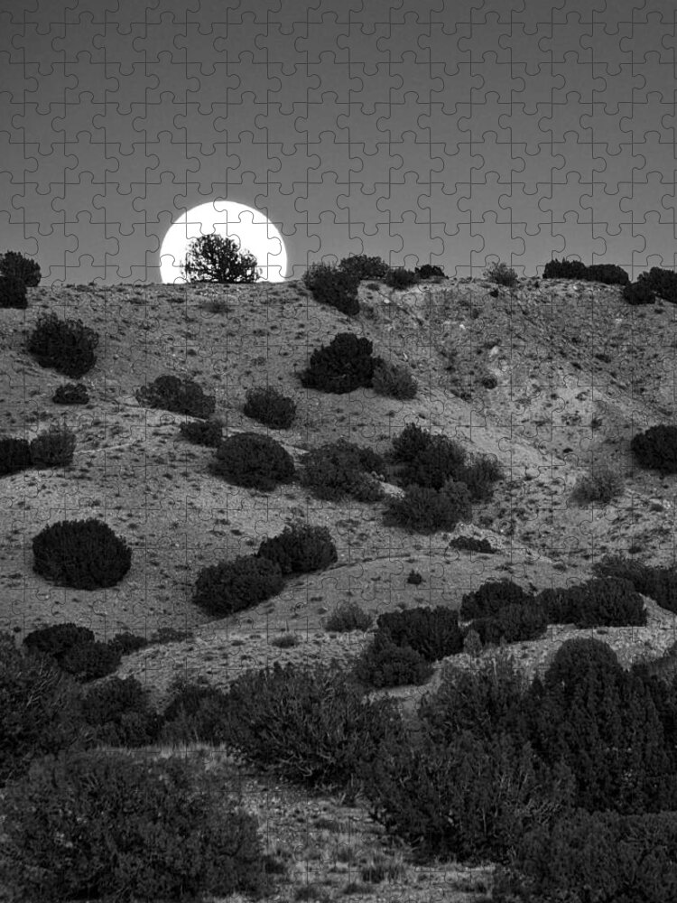 Juniper Jigsaw Puzzle featuring the photograph Juniper at Moonrise by Mary Lee Dereske