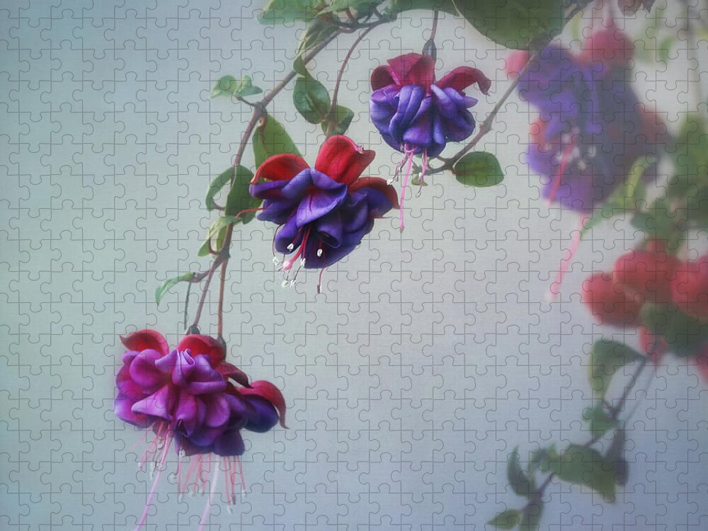 Fuchsia Jigsaw Puzzle featuring the photograph Just Because by Kim Hojnacki