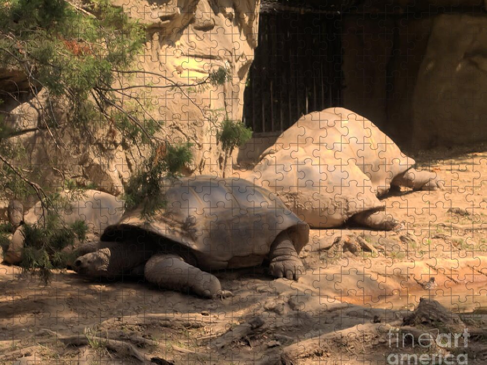 Pamela Briggs Luther Jigsaw Puzzle featuring the photograph Just Chillin' by Luther Fine Art