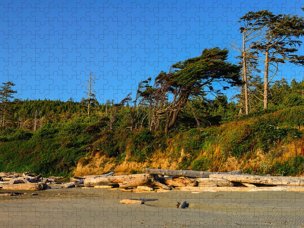 Kalaloch Jigsaw Puzzle featuring the photograph Kalaloch Beach by Greg Norrell