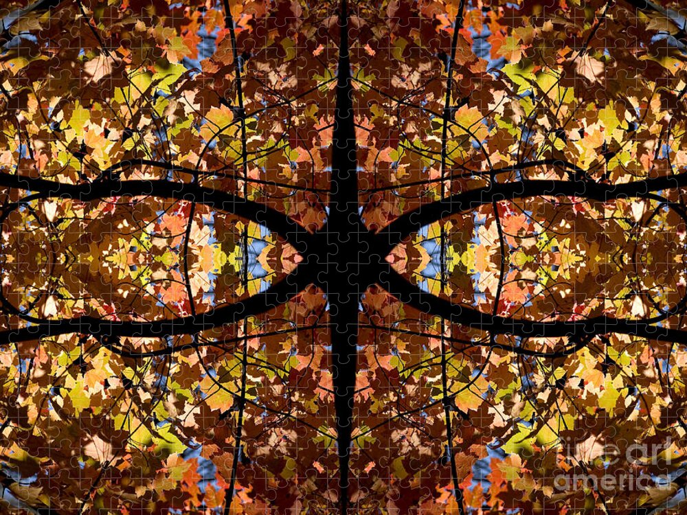 Kaleidoscope Jigsaw Puzzle featuring the photograph Kaleidoscope by Steven Ralser
