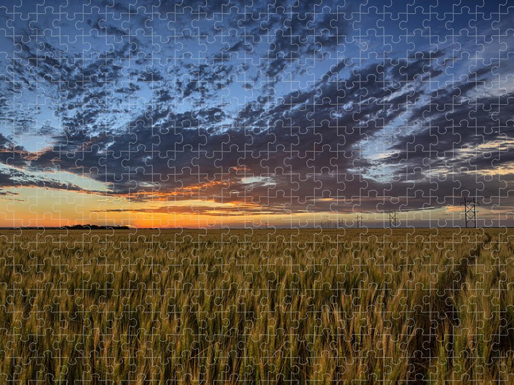 Kansas Jigsaw Puzzle featuring the photograph Kansas Color by Thomas Zimmerman