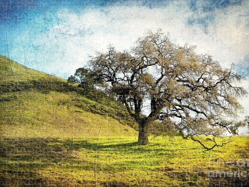 Landscape Jigsaw Puzzle featuring the photograph Kiss the Earth by Ellen Cotton