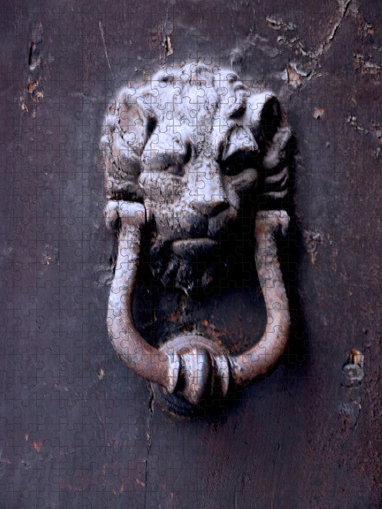 Door Knocker Jigsaw Puzzle featuring the photograph Knock Knock by Eric Tressler