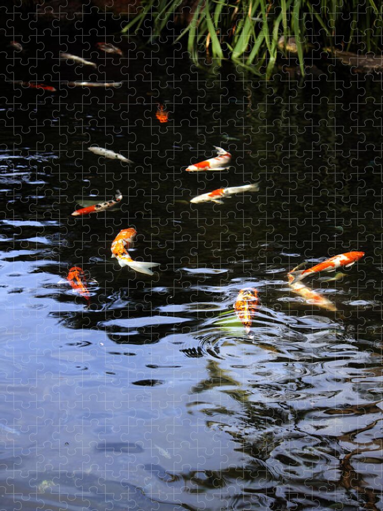 Koi Fish Jigsaw Puzzle featuring the photograph Koi Fish by Edward Hawkins II