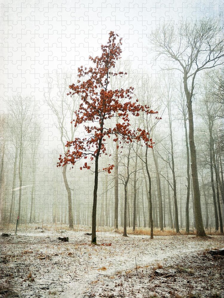 Tree Jigsaw Puzzle featuring the photograph I Keep my Dress on by Randi Grace Nilsberg