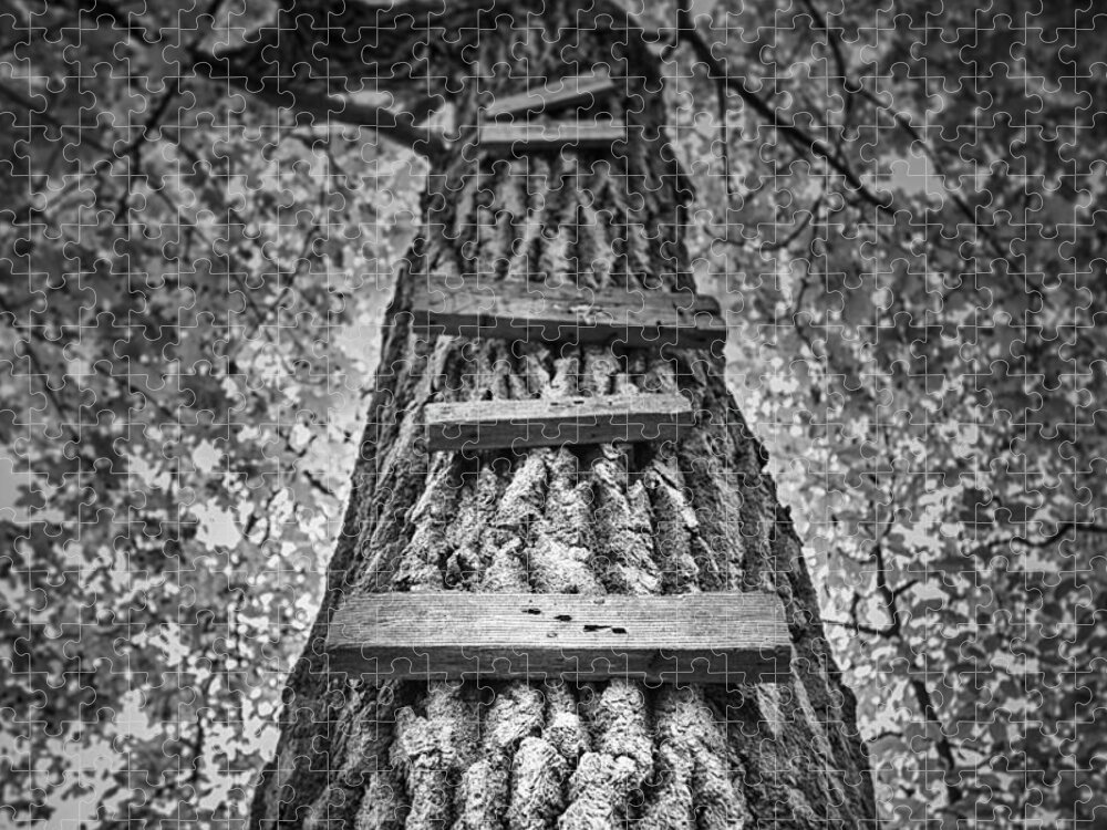 Tree Jigsaw Puzzle featuring the photograph Ladder to the Treehouse by Scott Norris