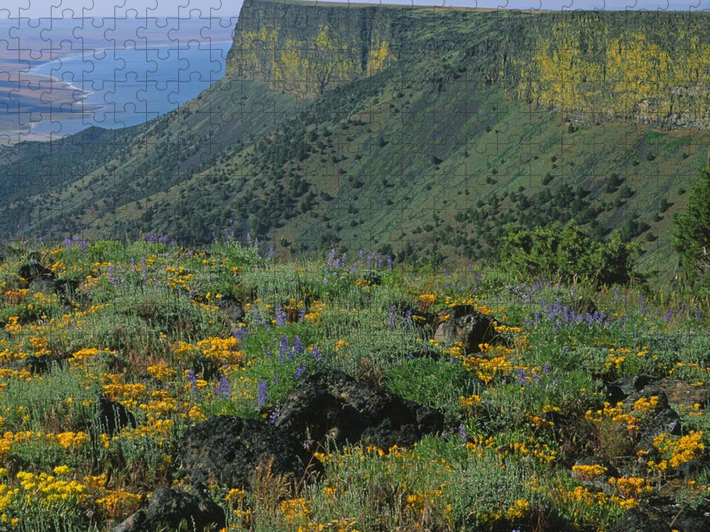 Lake Abert Jigsaw Puzzle featuring the photograph 1A5801-E-Lake Abert and Abert Rim V by Ed Cooper Photography