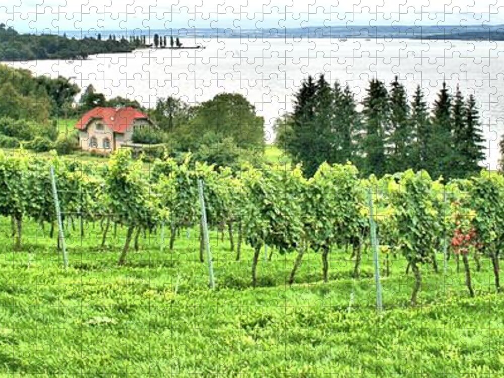 1445 Jigsaw Puzzle featuring the photograph Lake Constance by Gordon Elwell