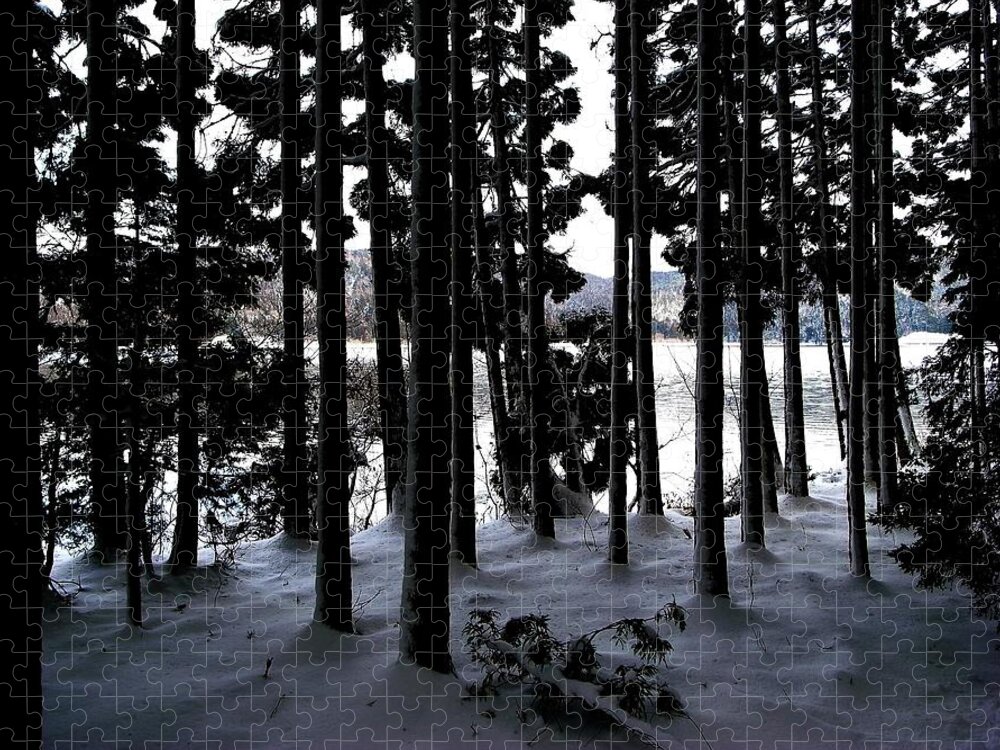 Tranquility Jigsaw Puzzle featuring the photograph Lakeside Cedar Forest With Snow by Photographer, Loves Art, Lives In Kyoto