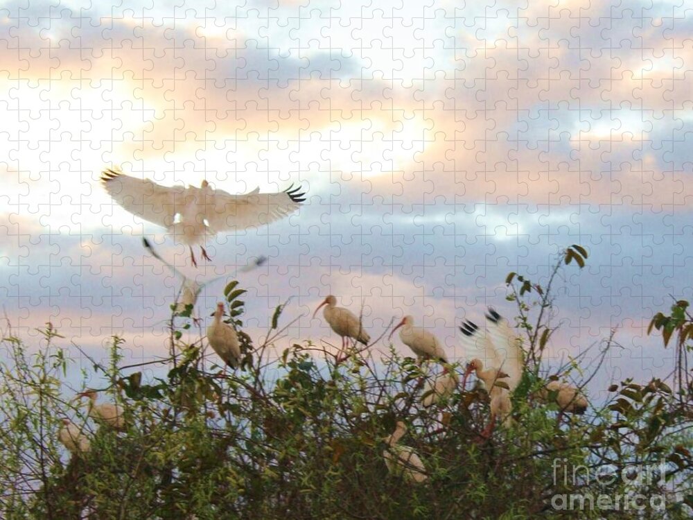 Flower Jigsaw Puzzle featuring the photograph Landing by Chuck Hicks