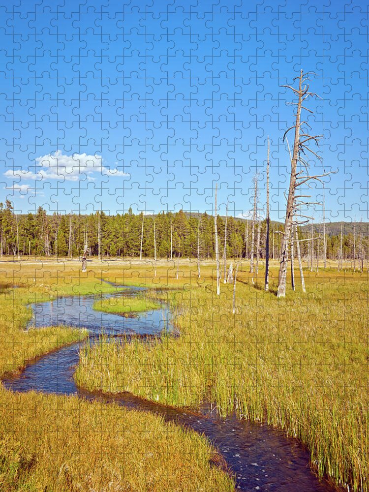 Scenics Jigsaw Puzzle featuring the photograph Lanscape In Yellowstone Wyoming Usa by Pavliha