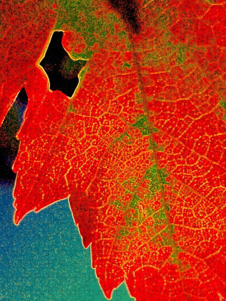Leaf Jigsaw Puzzle featuring the photograph Leaf Pop by Kathy Bassett