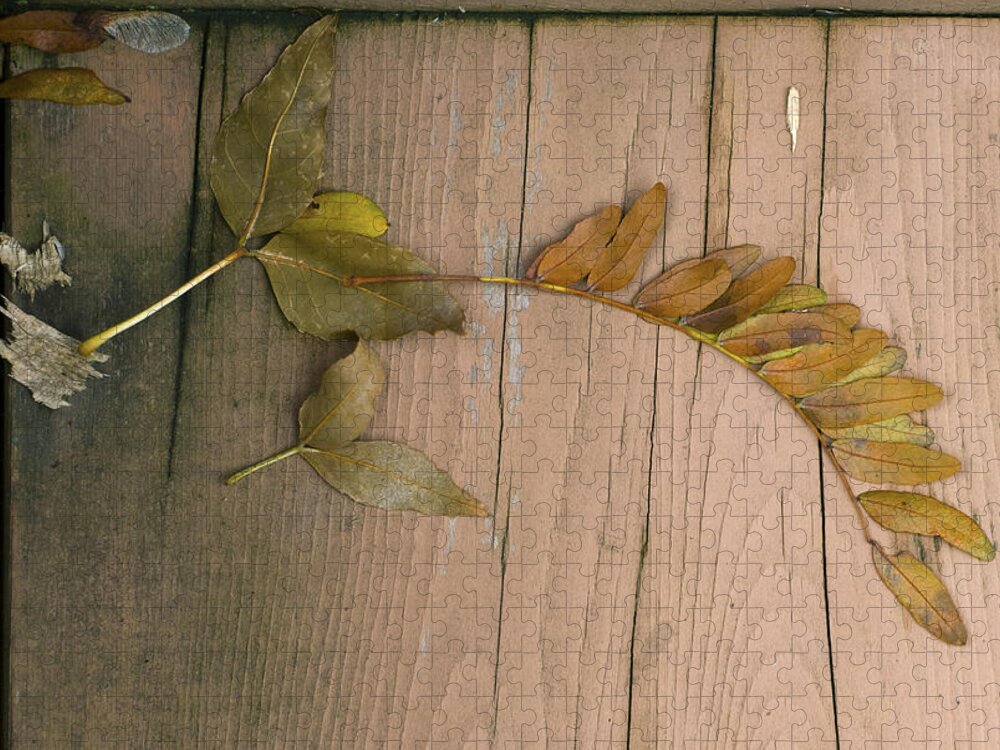 Fall Jigsaw Puzzle featuring the photograph Leaves On a Wooden Step by Lynn Hansen