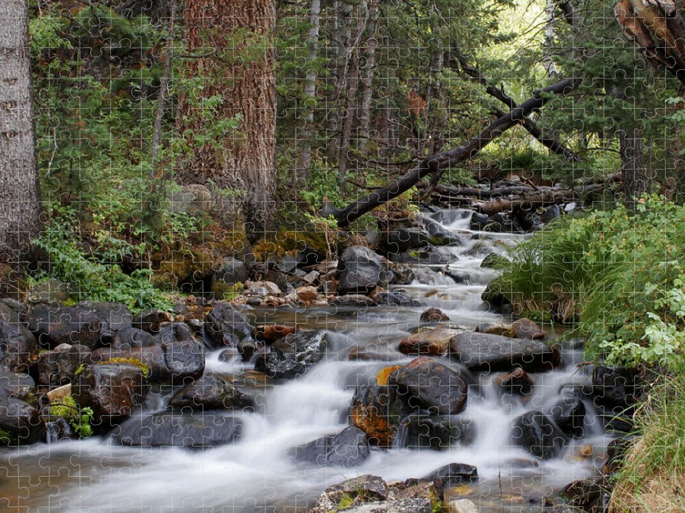 Creek Jigsaw Puzzle featuring the photograph Lehman Creek in Great Basin National Park by Rick Pisio