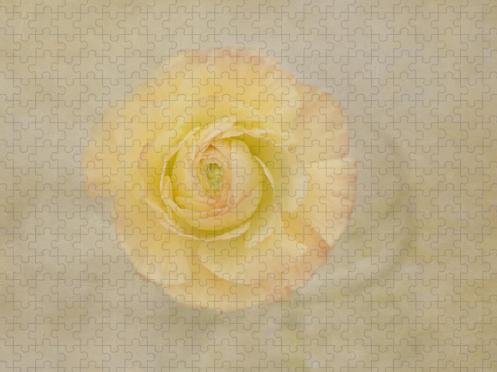 Yellow Flower Jigsaw Puzzle featuring the photograph Lemon Pastels by Kim Hojnacki