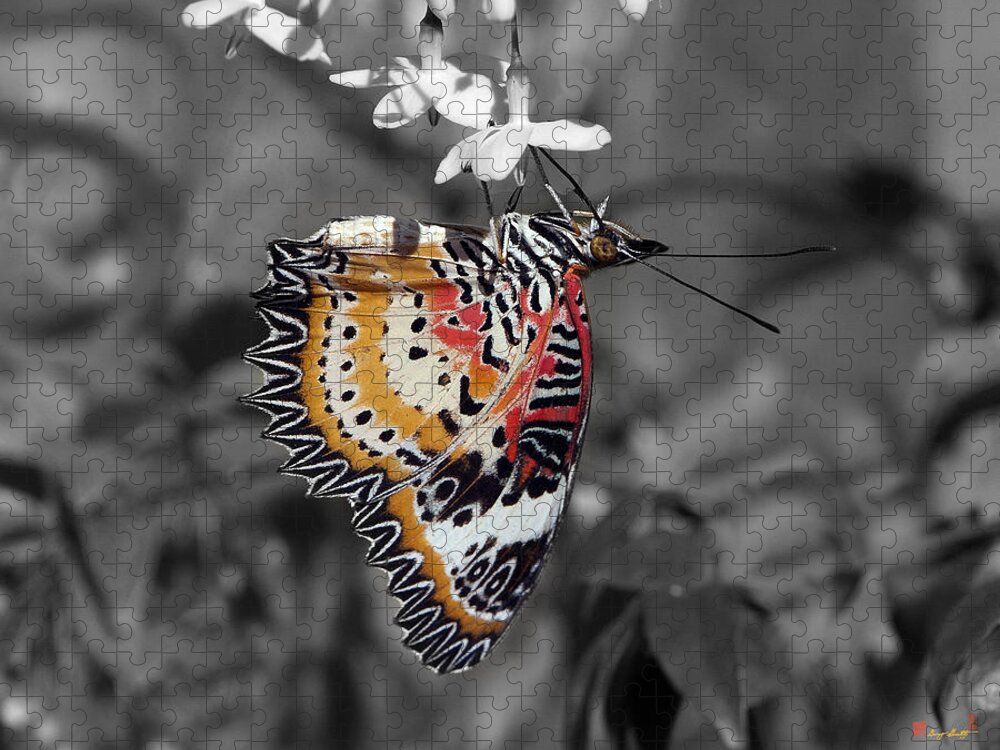 Scenic Jigsaw Puzzle featuring the photograph Leopard Lacewing Butterfly DTHU619BW by Gerry Gantt