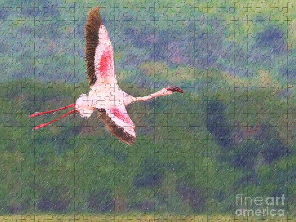 Lake Nakuru Np Jigsaw Puzzle featuring the digital art Lesser flamingo Phoenicopterus minor flying by Liz Leyden