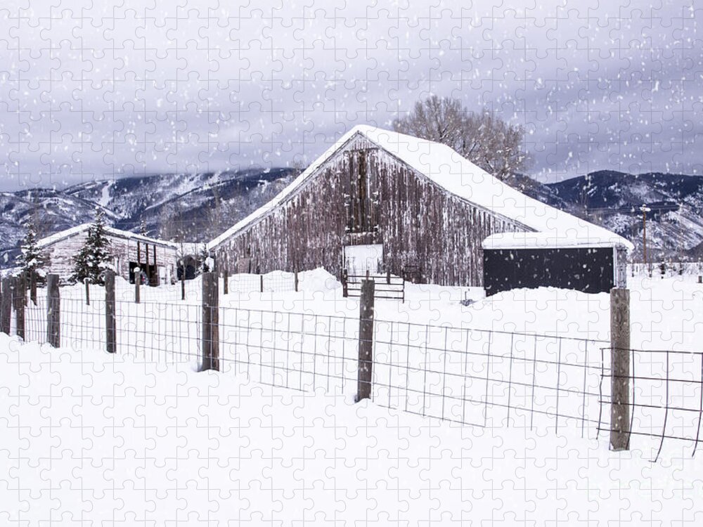 Snow Jigsaw Puzzle featuring the photograph Let It Snow by Kristal Kraft