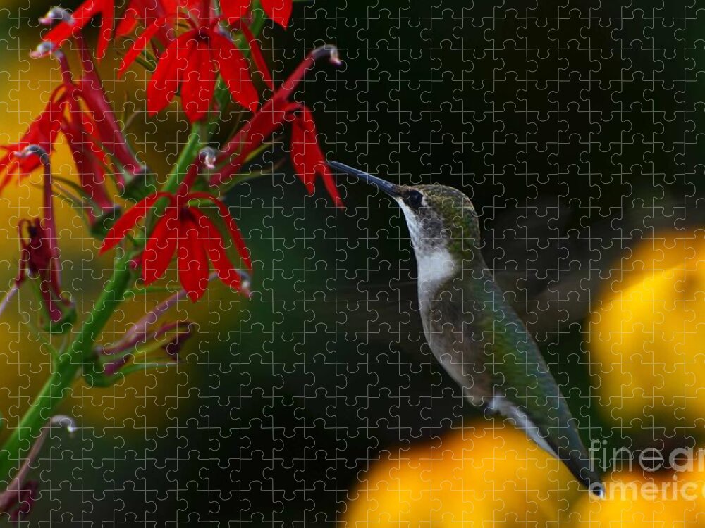 Bird Jigsaw Puzzle featuring the photograph Lifes Little Pleasures 2 by Judy Wolinsky