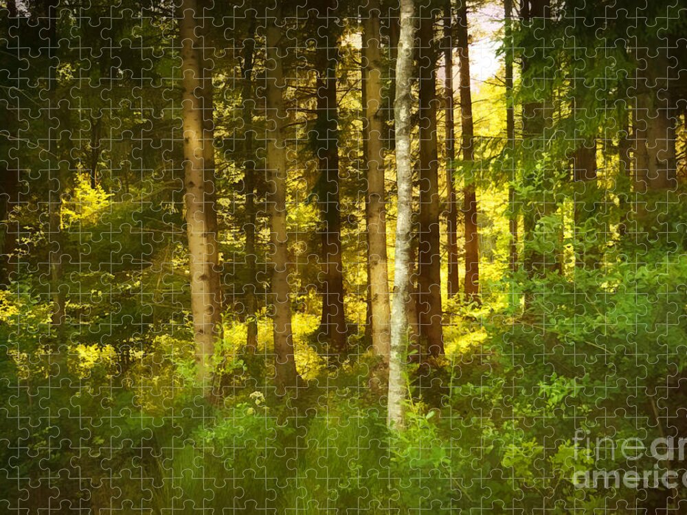 Lightful Forest Jigsaw Puzzle featuring the photograph Lightful Forest by Lutz Baar