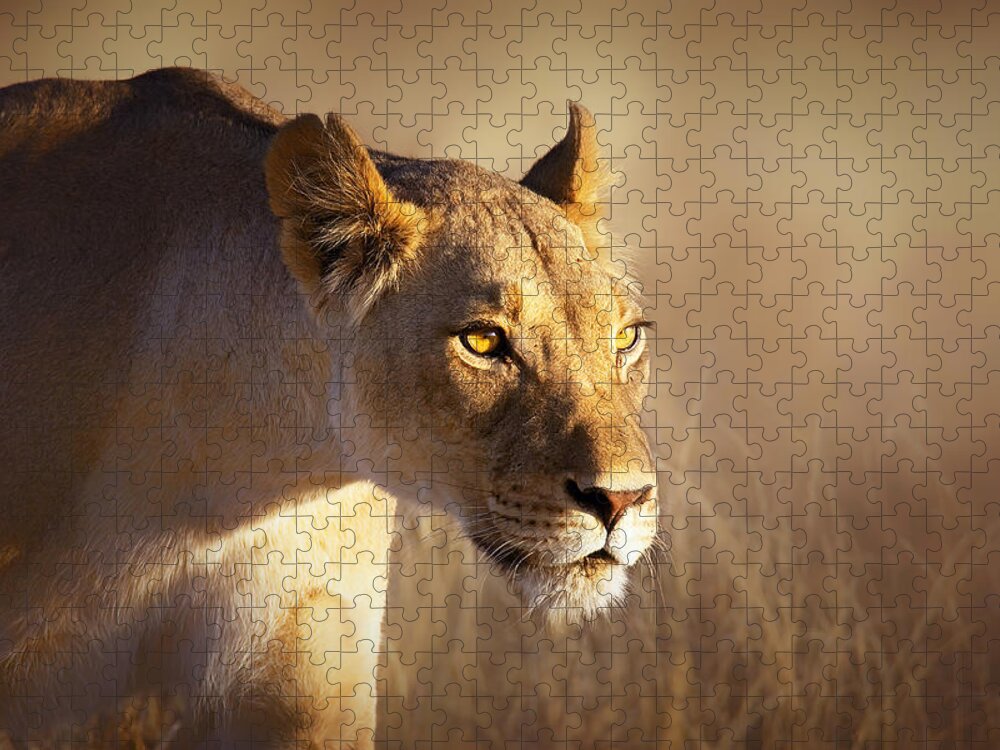 #faatoppicks Jigsaw Puzzle featuring the photograph Lioness portrait-1 by Johan Swanepoel