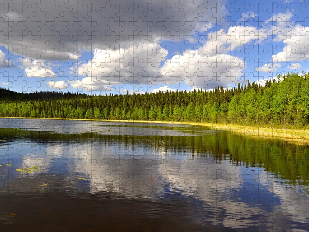 Lake Jigsaw Puzzle featuring the photograph Little Lost Lake by Cathy Mahnke