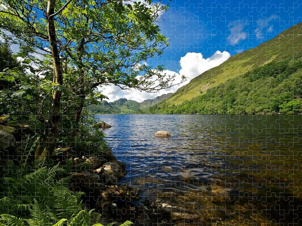 Llyn Crafnant Jigsaw Puzzle featuring the photograph Llyn Crafnant by Stephen Taylor