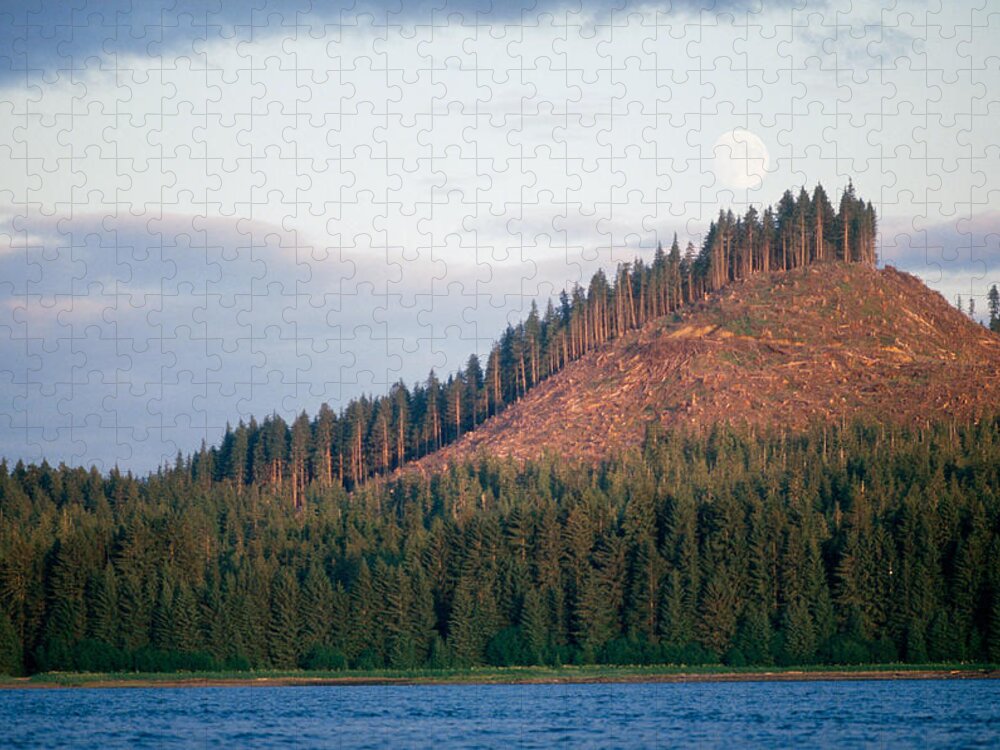 Alaska Jigsaw Puzzle featuring the photograph Logging In Alaska by F. Stuart Westmorland
