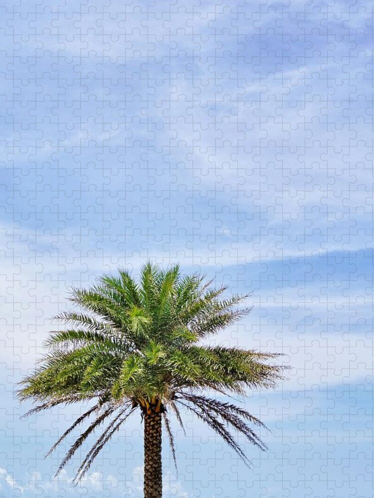 Palm Jigsaw Puzzle featuring the photograph Lone Palm at the Beach by Jean Goodwin Brooks