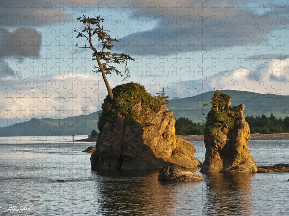 Bay Jigsaw Puzzle featuring the photograph Lone Tree on a Rock at Sunset by Jeff Goulden