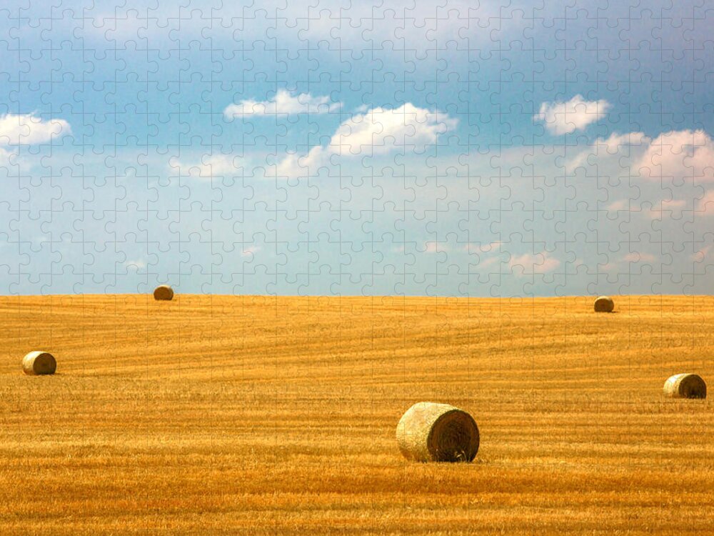 Field Jigsaw Puzzle featuring the photograph Lonely Fields by Todd Klassy
