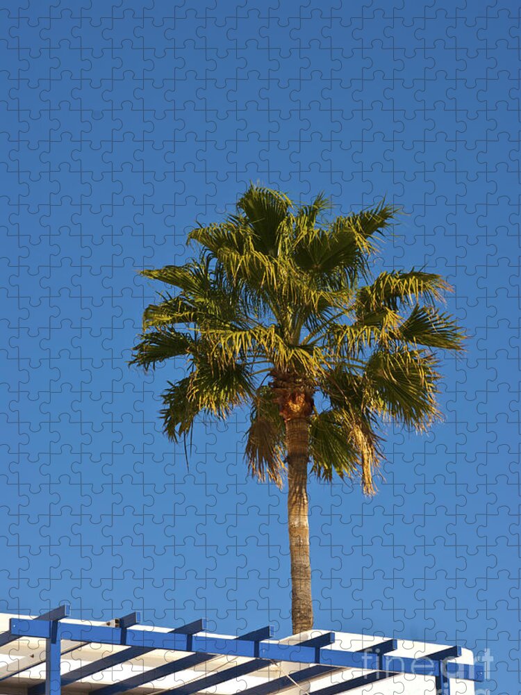 Palm Jigsaw Puzzle featuring the photograph Lonely Palm by James Lavott