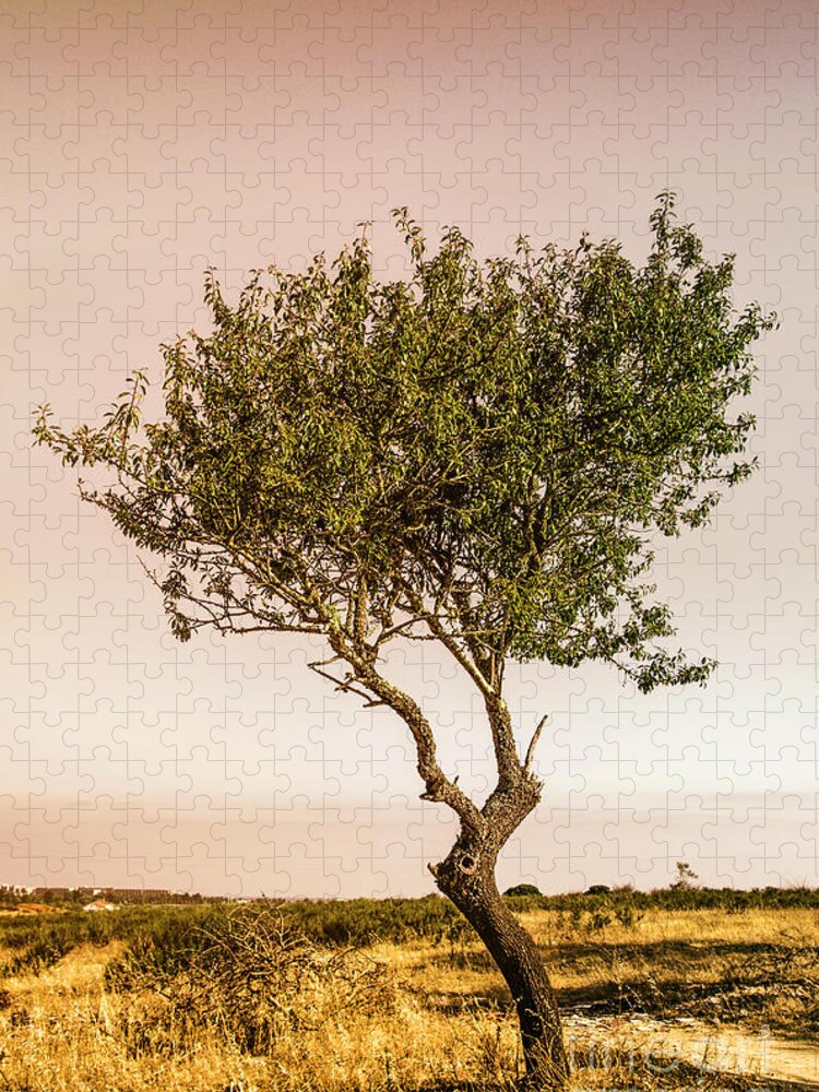 Young Jigsaw Puzzle featuring the photograph Lonely Tree by Carlos Caetano