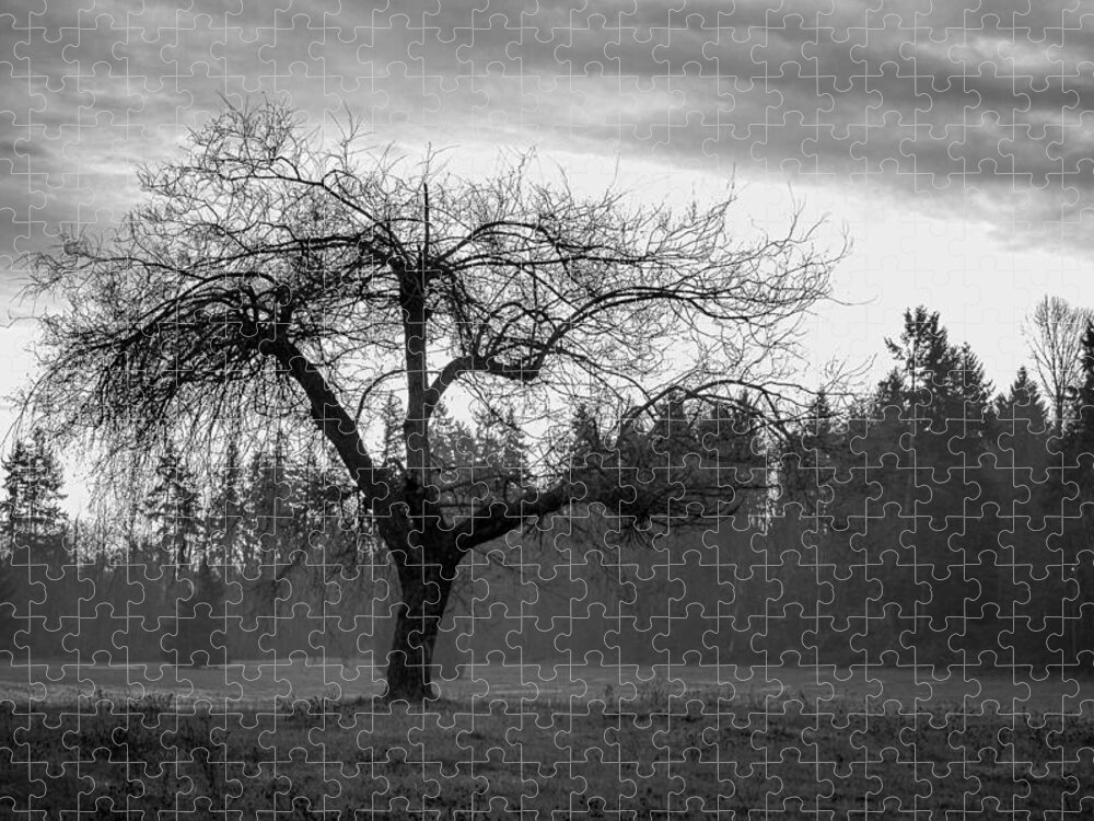 Black And White Jigsaw Puzzle featuring the photograph Lonely Tree by Ron Roberts
