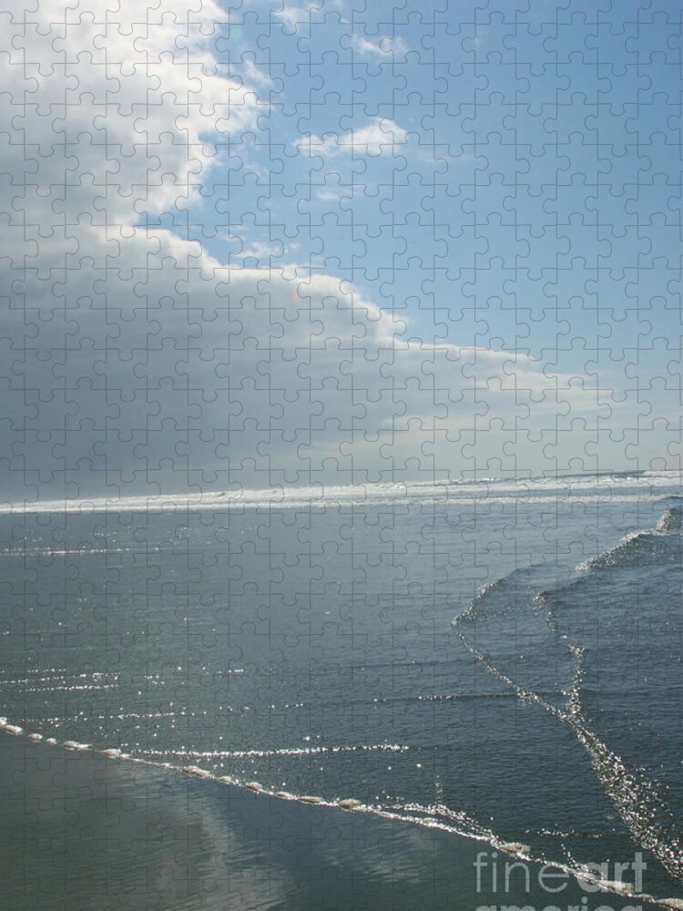 Long Beach Peninsula Jigsaw Puzzle featuring the photograph Long Beach 1 by Rich Collins