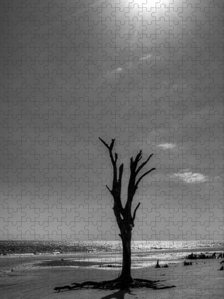 Jekyll Island Jigsaw Puzzle featuring the photograph Long Shadow on Jekyll Island in Black and White by Greg and Chrystal Mimbs