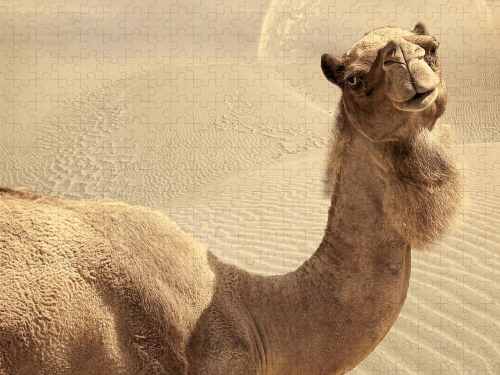Camel Jigsaw Puzzle featuring the digital art Looking At Ya by Lourry Legarde