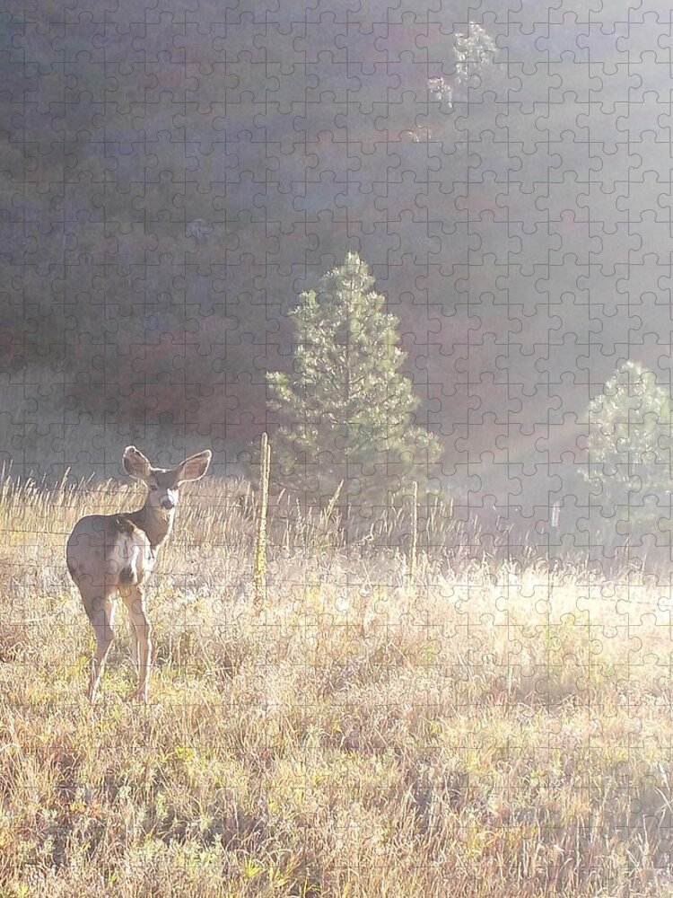 Deer Jigsaw Puzzle featuring the photograph Looking at You by Shere Crossman